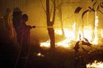 Bosbranden verstoren kerst in Australië
