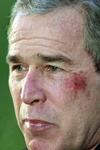 Bush stikt bijna<BR>in krakeling