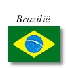 vlag Brazilie GIF