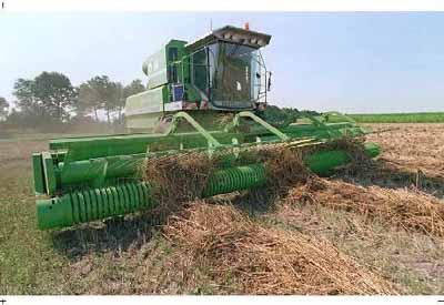 Voor boerenorganisatie LTO-Nederland komt de bevriezing van de prijzen niet als een verrassing. "Wel is duidelijk dat de agrarische inkomens er niet beter van worden. Zo werkt de verlaging voor de opslagkosten van suiker negatief door op de inkomens van de bietentelers", aldus een woordvoerder.