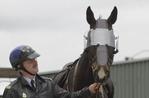 ME-helm voor politiepaarden Groningen