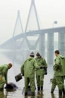 Klik op de foto voor een afbeelding op volle grootte (284x426, 16kb)