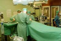 Klik op de foto voor een afbeelding op volle grootte (426x284, 18kb)