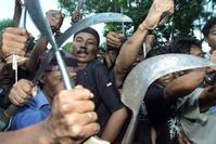 Klik op de foto voor een afbeelding op volle grootte (426x284, 23kb)