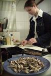 Slager verkoopt nasi met sprinkhanen