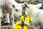 Evenement natuur ongewenst