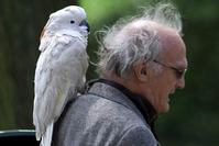 Klik op de foto voor een afbeelding op volle grootte (426x284, 14kb)