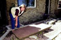 Klik op de foto voor een afbeelding op volle grootte (426x284, 27kb)