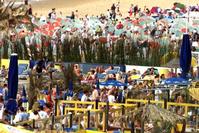 Klik op de foto voor een afbeelding op volle grootte (426x284, 38kb)