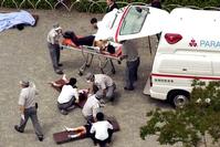 Klik op de foto voor een afbeelding op volle grootte (426x284, 28kb)