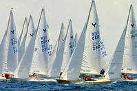 Klik op de foto voor een afbeelding op volle grootte (426x284, 20kb)