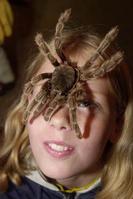Klik op de foto voor een afbeelding op volle grootte (284x426, 16kb)