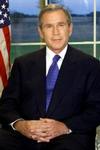 Bush vermijdt valkuilen bij stamcel-besluit