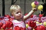Bloemen populairste cadeau