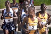 Klik op de foto voor een afbeelding op volle grootte (426x284, 23kb)