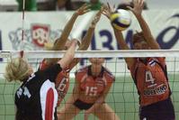 Klik op de foto voor een afbeelding op volle grootte (426x284, 21kb)