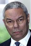 Harde kritiek<BR>op aanpak Powell