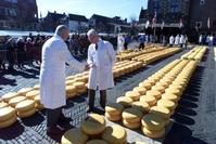 Klik op de foto voor een afbeelding op volle grootte (426x284, 27kb)