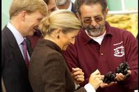 Klik op de foto voor een afbeelding op volle grootte (426x284, 18kb)