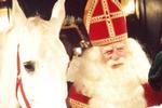Sint Nicolaas populairder