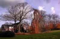 Klik op de foto voor een afbeelding op volle grootte (426x282, 26kb)