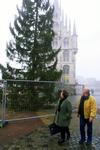 Metershoog hek rond<BR>kerstboom in Gouda