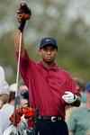 Tiger Woods foutloos