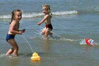 Klik op de foto voor een afbeelding op volle grootte (426x284, 18kb)