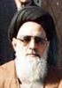 Opgestapte ayatollah legt onvrede bloot