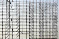 Klik op de foto voor een afbeelding op volle grootte (426x284, 39kb)