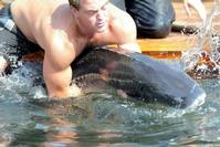 Klik op de foto voor een afbeelding op volle grootte (426x284, 24kb)