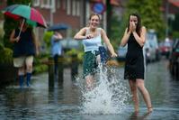 Klik op de foto voor een afbeelding op volle grootte (426x284, 20kb)