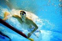 Klik op de foto voor een afbeelding op volle grootte (426x284, 24kb)