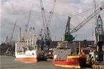 Overslag in Rotterdamse haven op niveau van 2001