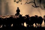 Droogte bezorgt Australië miljardenstrop