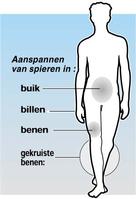 Klik op de foto voor een afbeelding op volle grootte (300x440, 15kb)