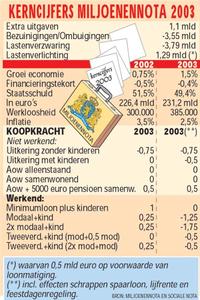 Miljoenennota: 2003 wordt erg zuinig jaar