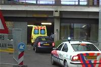 Klik op de foto voor een afbeelding op volle grootte (512x341, 26kb)