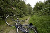 Klik op de foto voor een afbeelding op volle grootte (512x341, 41kb)