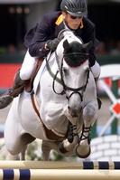 Klik op de foto voor een afbeelding op volle grootte (284x426, 20kb)