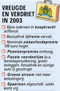 Bezuinigingen doen overal pijn