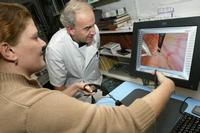 Klik op de foto voor een afbeelding op volle grootte (512x341, 30kb)