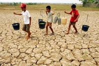 Klik op de foto voor een afbeelding op volle grootte (426x284, 34kb)