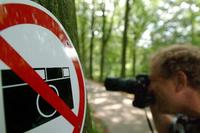 Klik op de foto voor een afbeelding op volle grootte (600x400, 32kb)